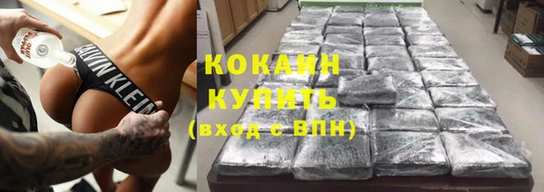 индика Арсеньев