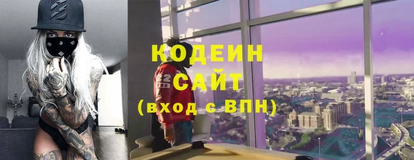 индика Арсеньев