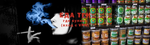 индика Арсеньев