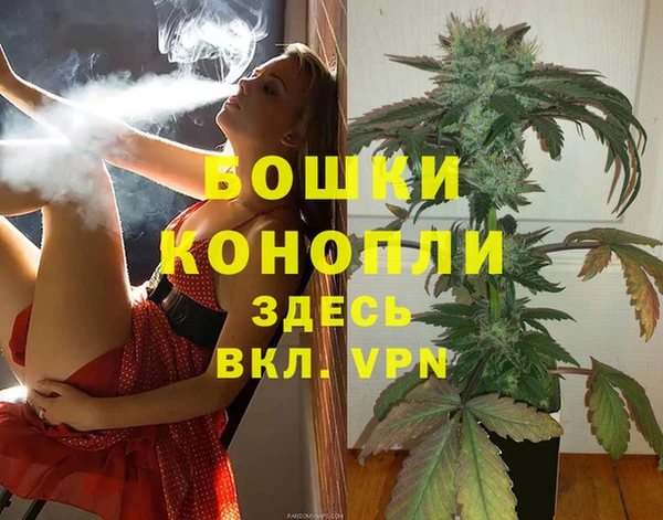 индика Арсеньев