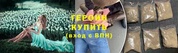 индика Арсеньев