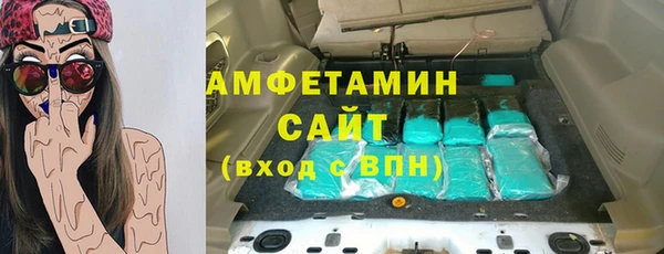 индика Арсеньев