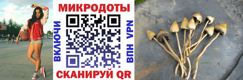 Псилоцибиновые грибы прущие грибы  Аша 