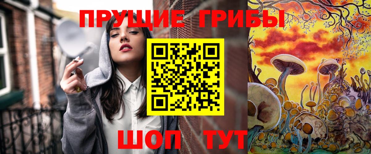 Галлюциногенные грибы Psilocybine cubensis Аша