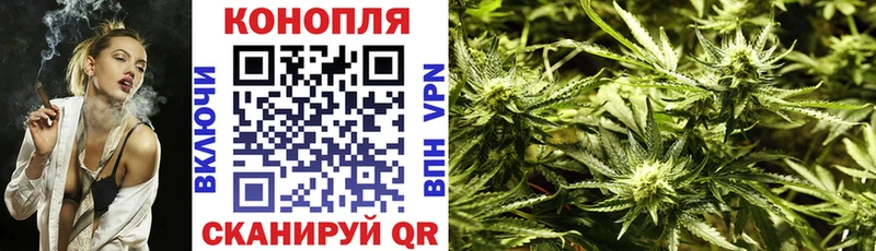 Каннабис гибрид  Аша 